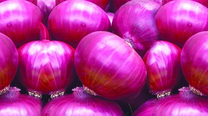 Onion-2